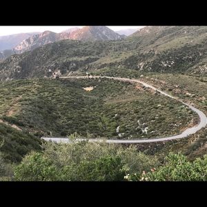 Meet your Posher, Oscar